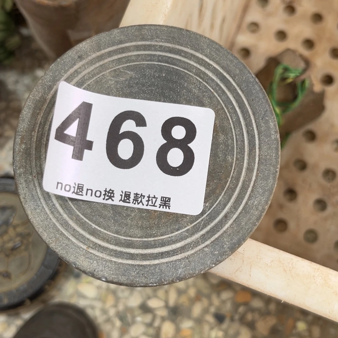 兦***㱏一物一图，工艺品。