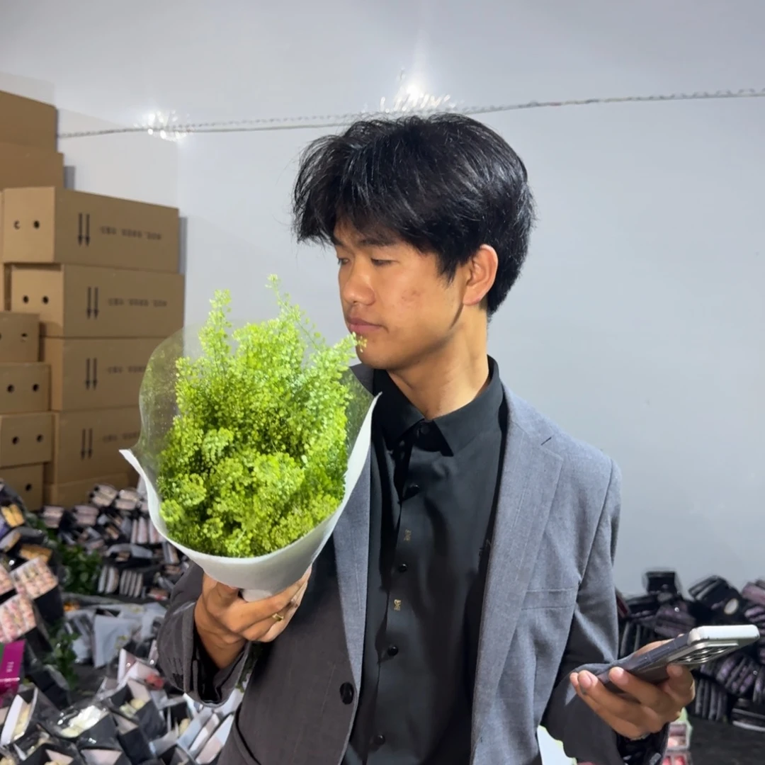 绿灵草5扎包邮价百分之二十不售后