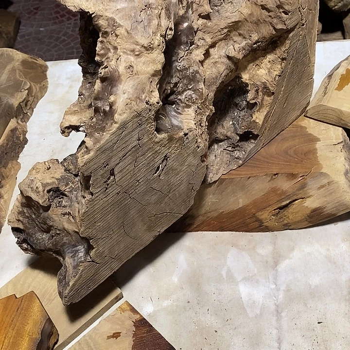 圣***僧金丝楠木小叶楠木