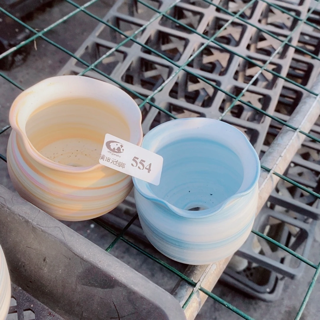 无***生石花花花花花花554