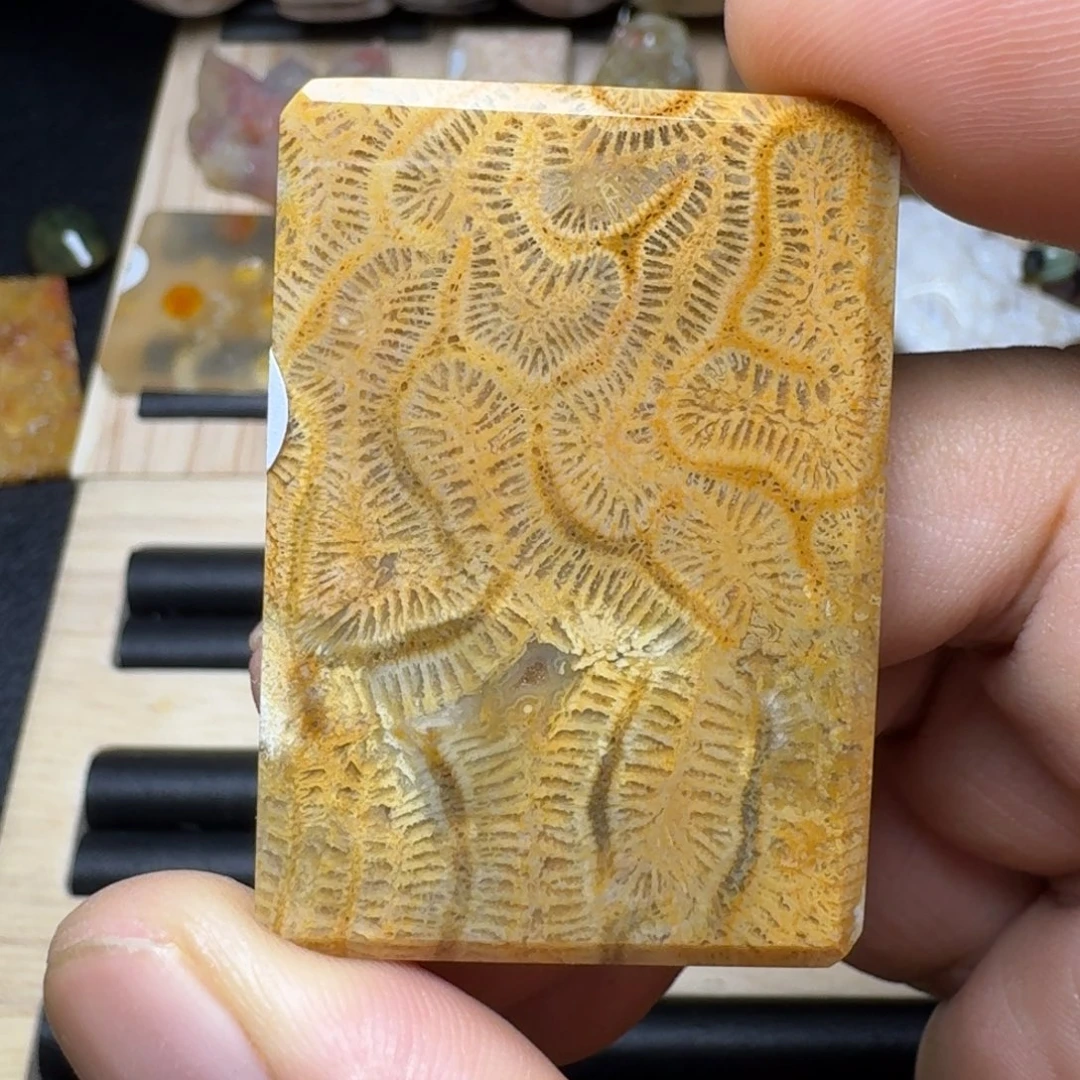 未镶嵌纯天然色有机玉石保真色硅化玉