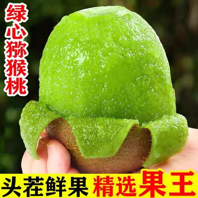 正宗绿心猕猴桃新鲜水果当季现摘先发原产地酸甜美味优选五斤