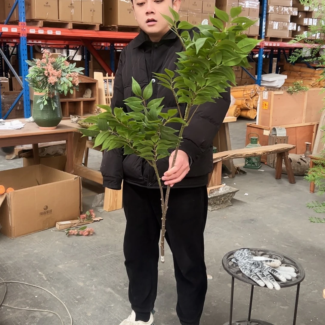 抖音直播间110cm漆木