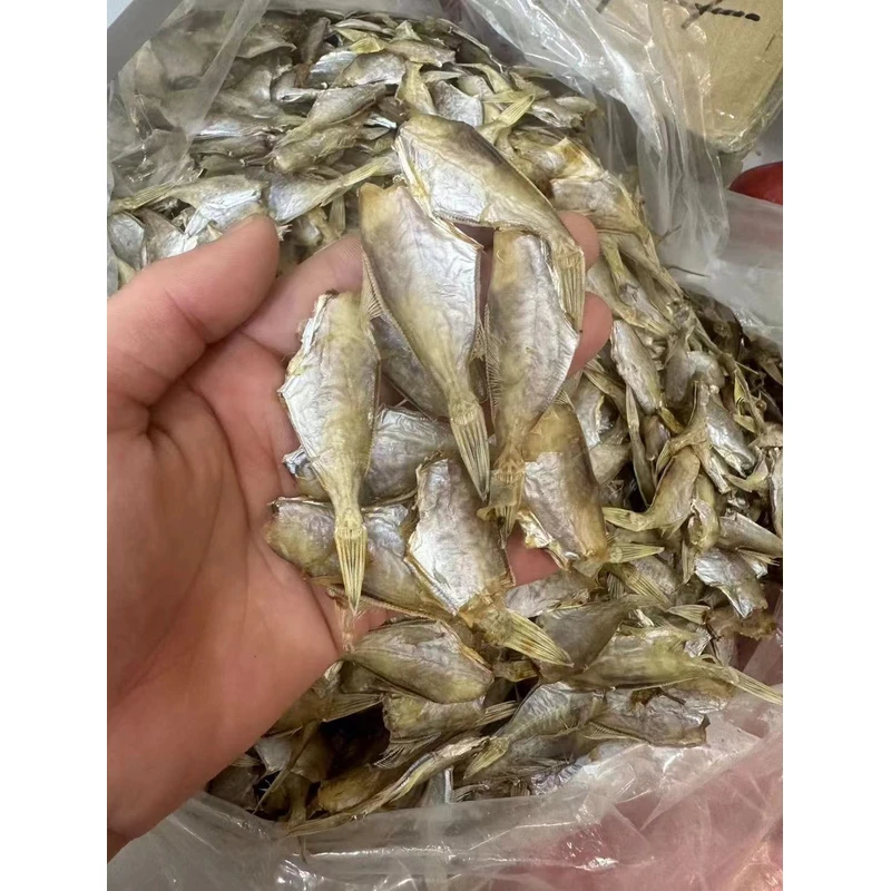 马面迪仔  鱼干本港海味鱼胶海产品