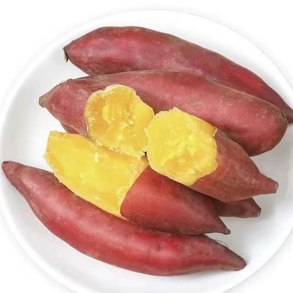 【主播推荐】新鲜海南桥头地瓜粉糯香甜沙地板栗小香薯5斤