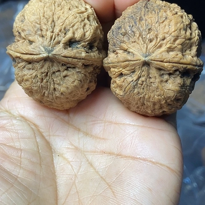 把件文玩核桃云南铁核桃基地74