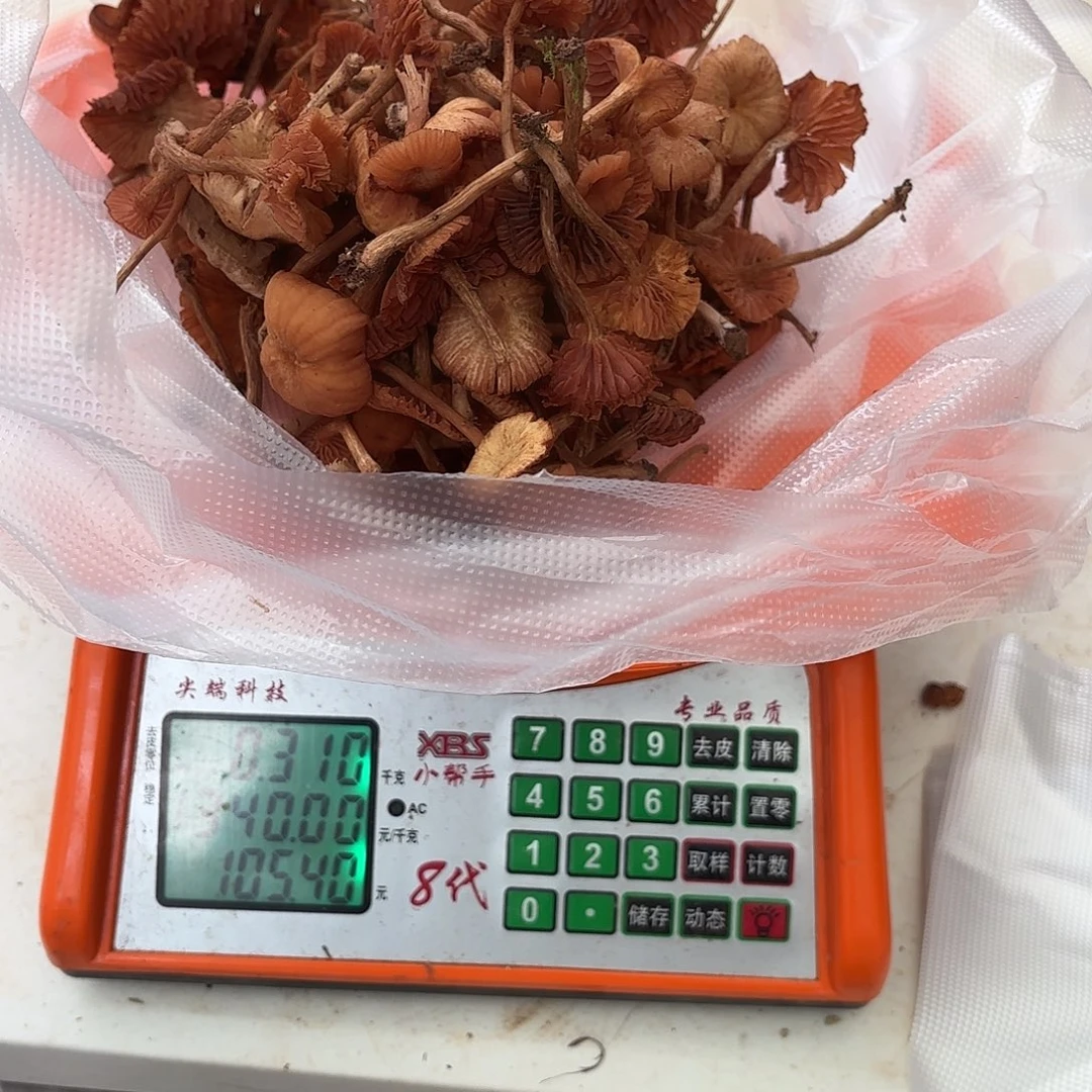 卢***条云南小表妹野生菌代购中国大陆