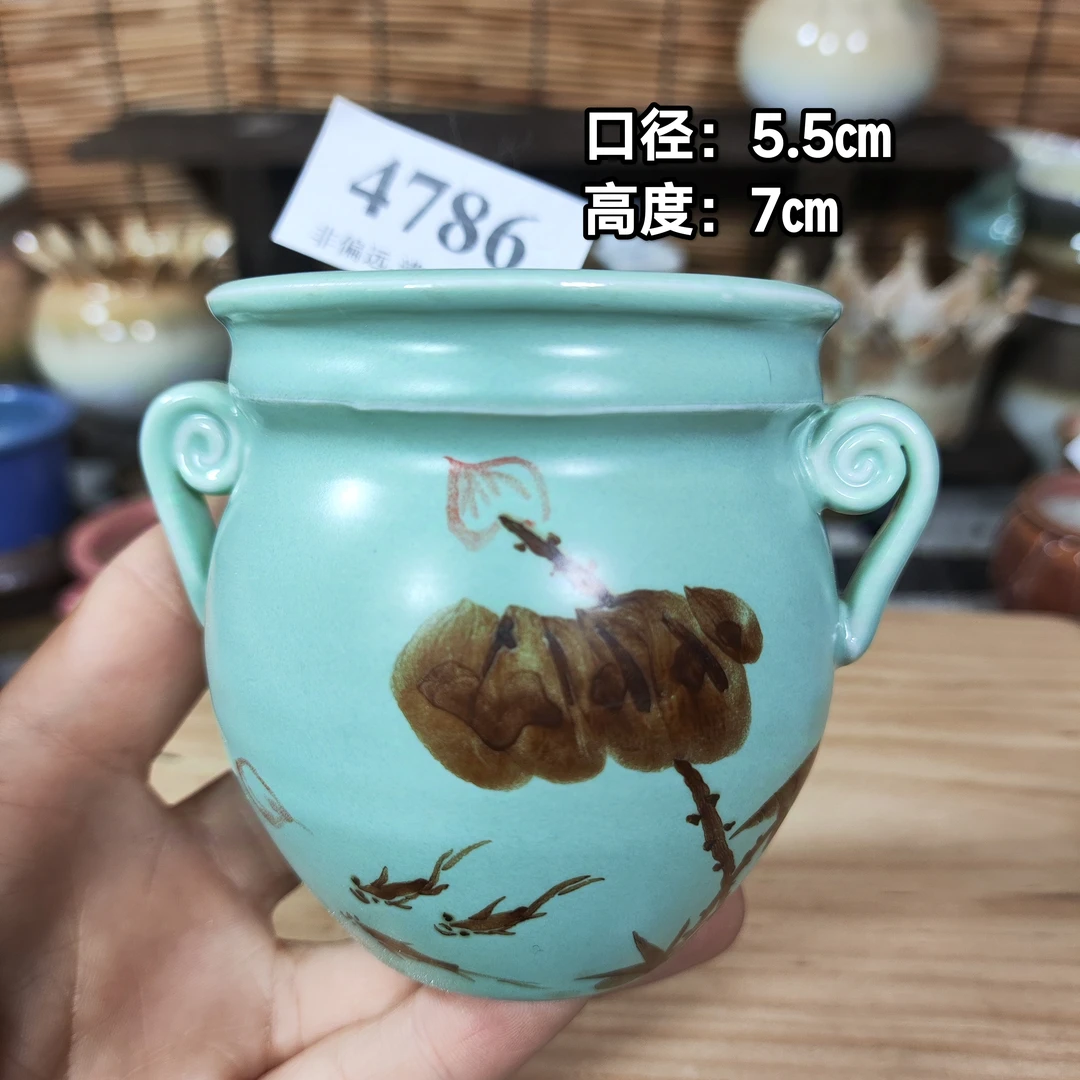 手工创意多肉花盆摆件迷你多肉花盆景德镇纯手工制做