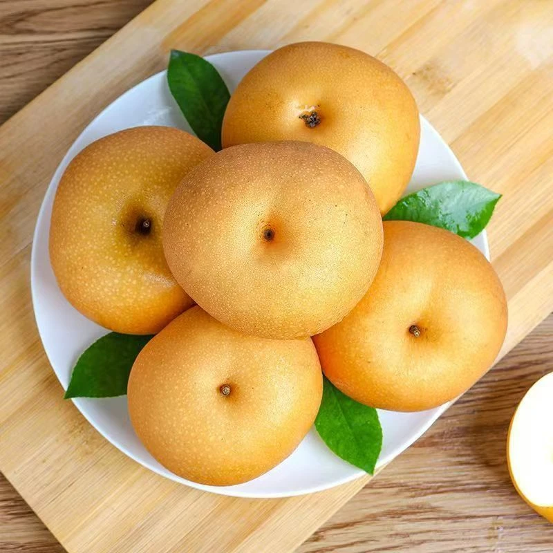 正宗山东秋月梨新鲜梨子当季现摘薄皮脆甜多汁甘甜蜜梨果水果包邮