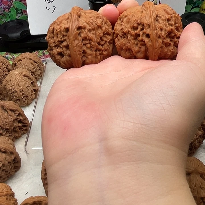 晴***宝物美价廉物美价廉