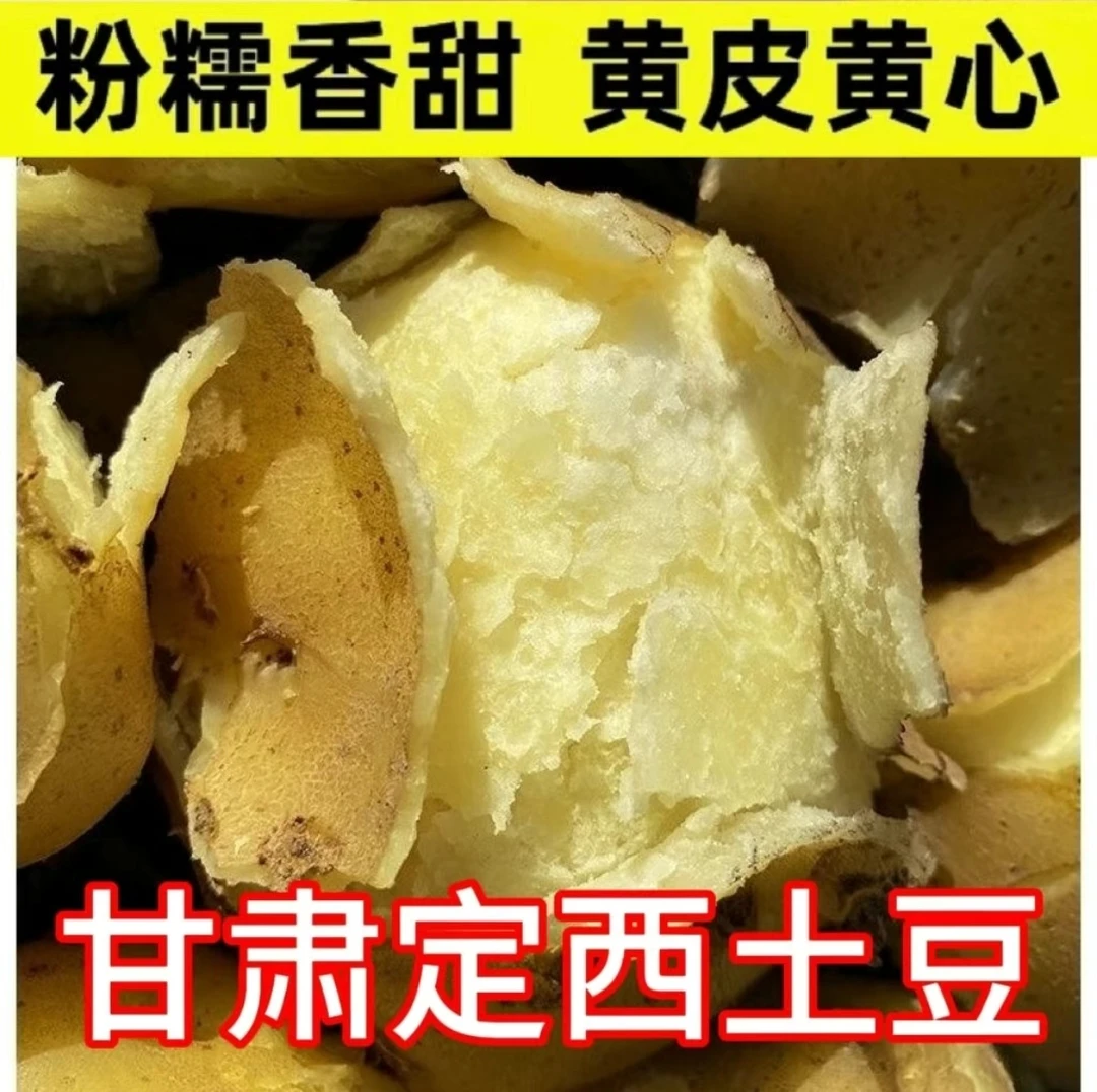 【定西土豆】甘肃定西黄皮洋芋高原种植现挖特产应季新鲜农家自种
