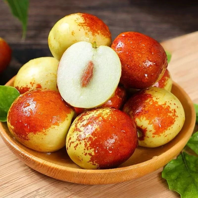 正宗沾化冬枣自然成熟产地直发整箱批发应季水果坏果包赔