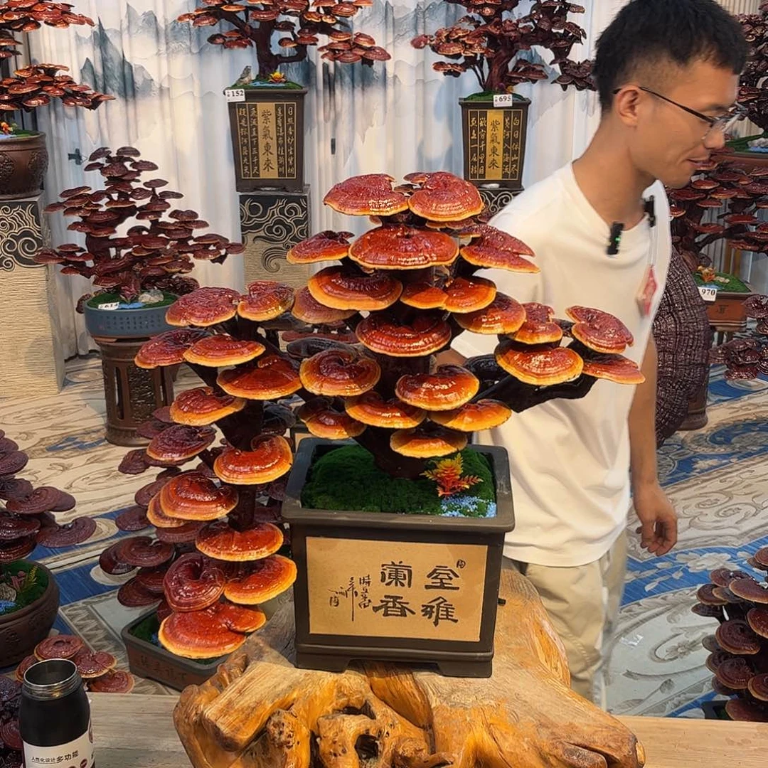 无花朵888888888888