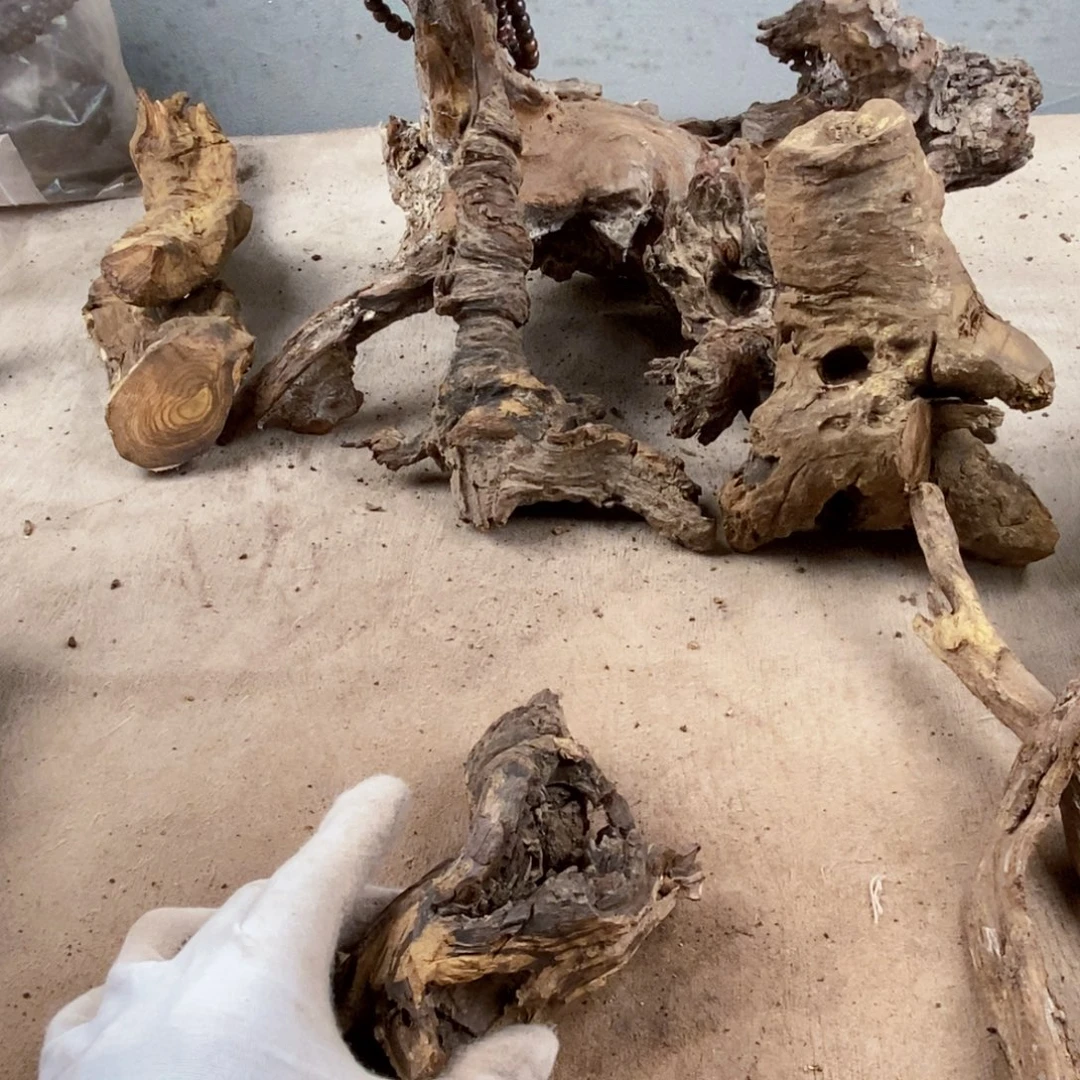 大***树黄花梨/降香黄檀降香黄檀黄花梨