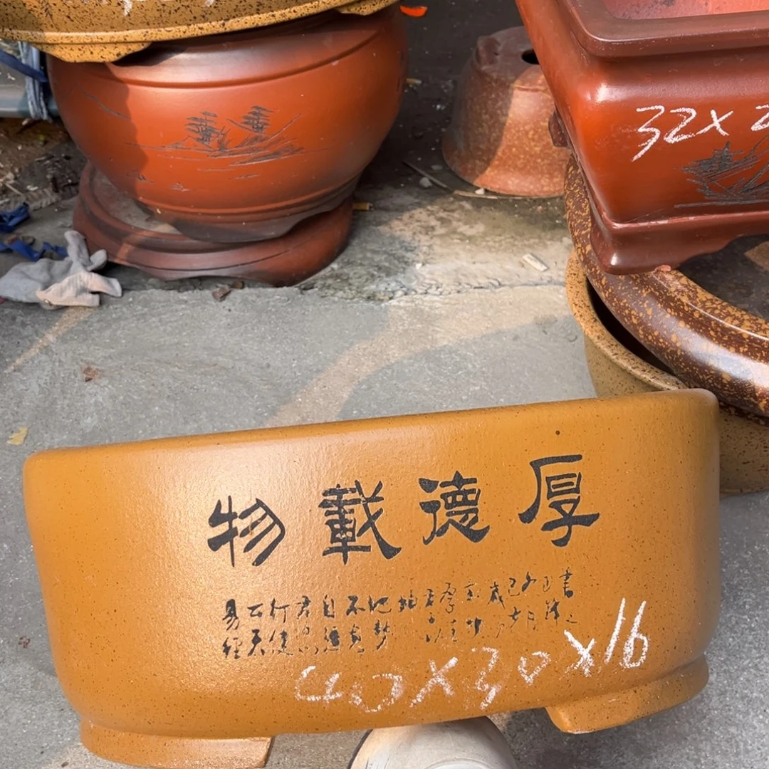 花盆紫砂盆景艺术