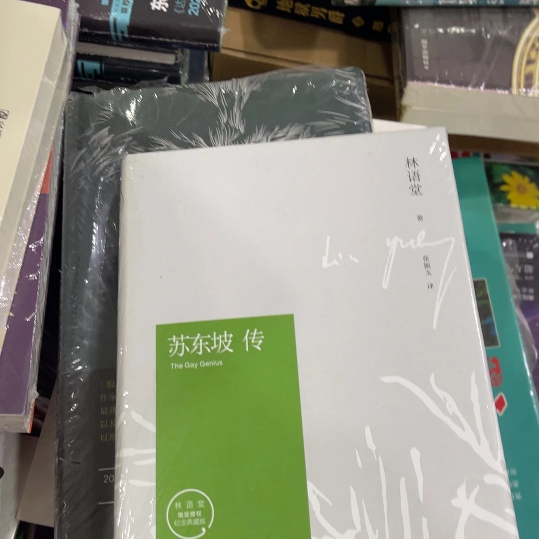 用***3苏东坡传精装一个