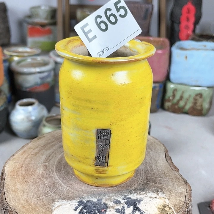 紫砂花盆开播福利 陶瓷花盆