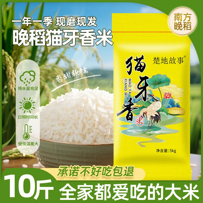 猫牙香米新米10斤20斤50斤煮饭营养丰富颗粒饱满清香软糯