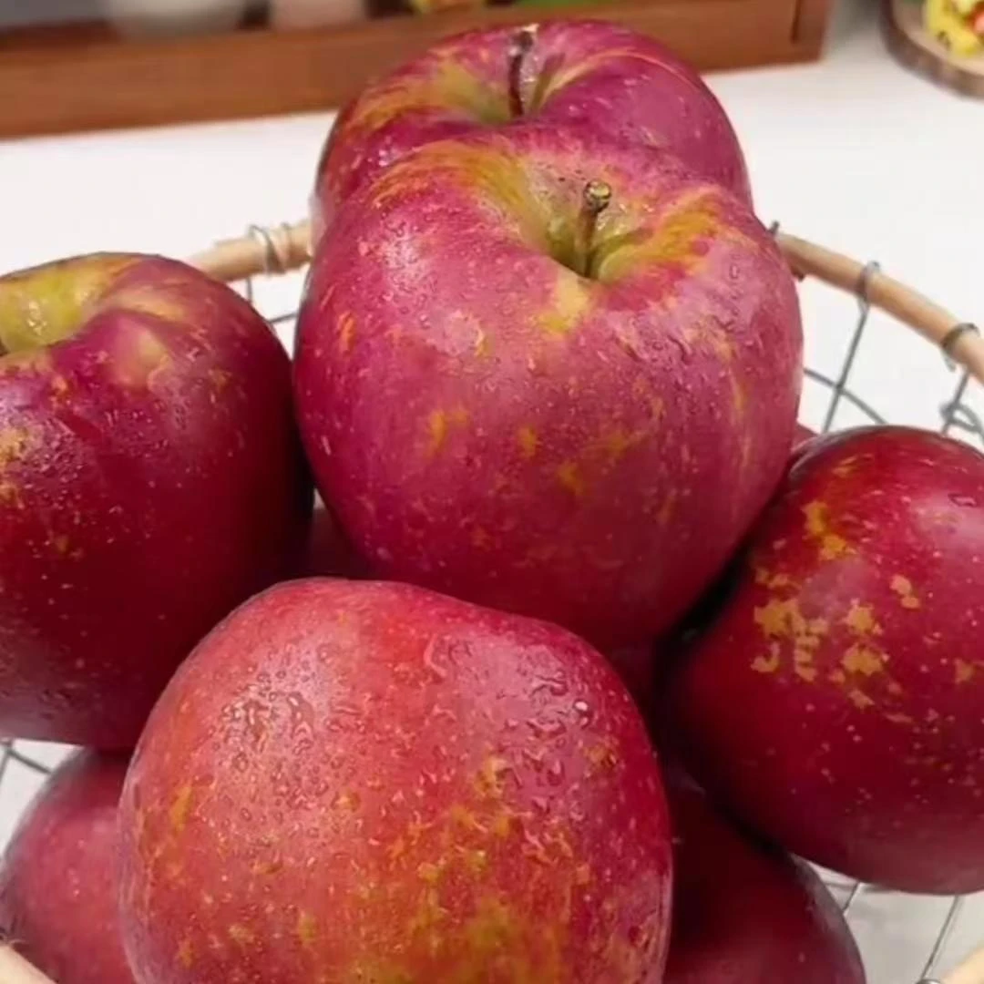 云南昭通丑苹果冰糖心苹果水果脆甜5斤-10斤新鲜红富士苹果整箱