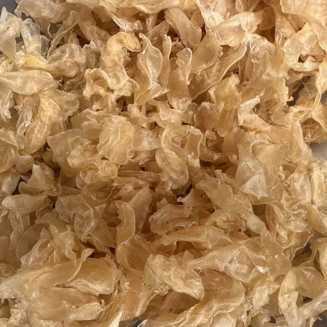 [一言妈妈中秋专场]    黄花胶碎
