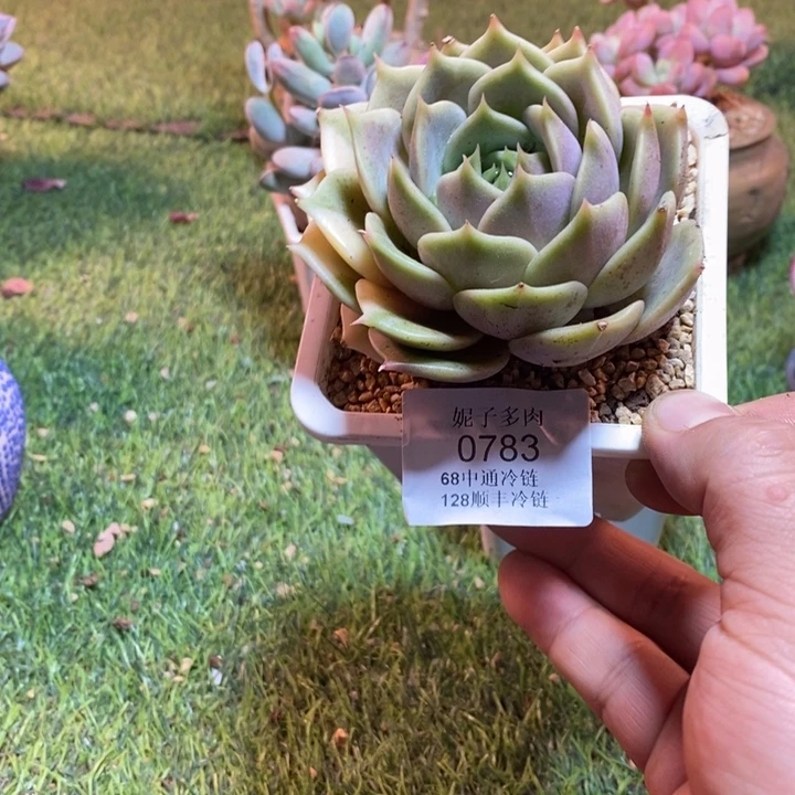 0783啊啊啊啊啊啊啊啊啊啊