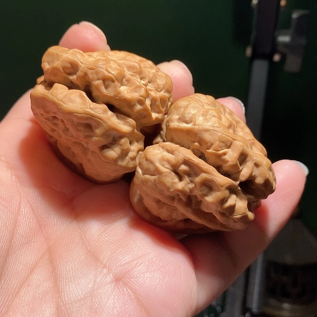 文玩核桃把件50肚三角箭毒蛙