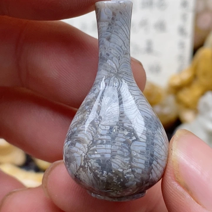 颈饰未镶嵌硅化珊瑚（珊瑚玉）