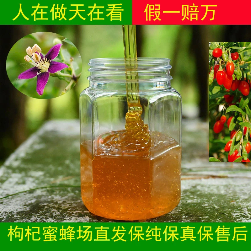 枸杞花蜂蜜纯正天然枸杞花蜂蜜农家自产枸杞花蜂蜜正品