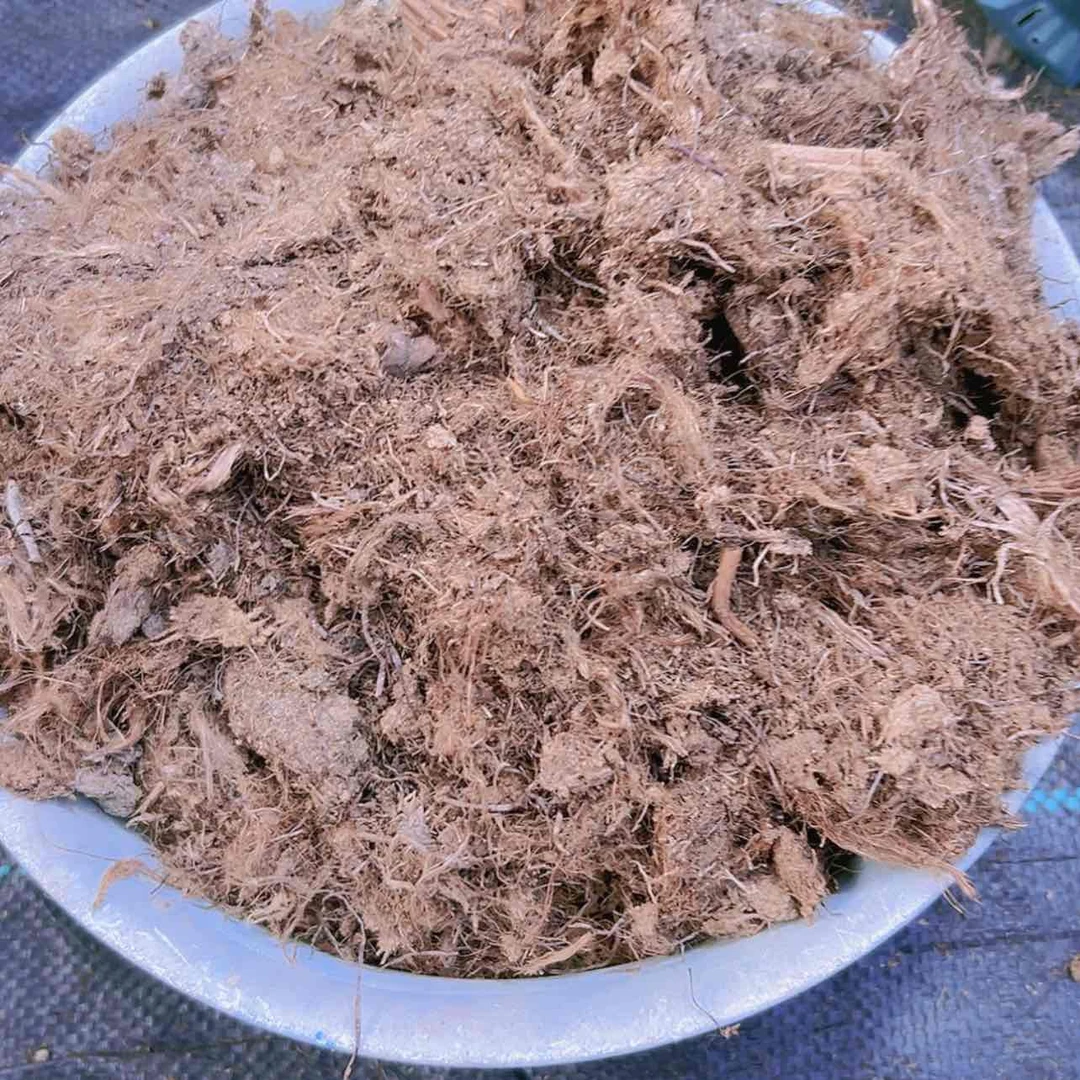 【闪购商品】粗泥潭19:9