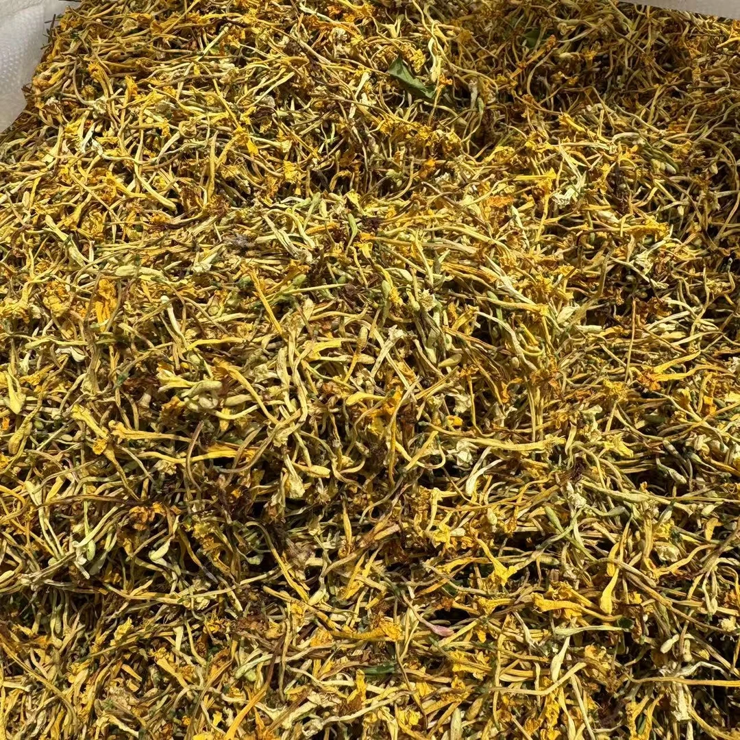 灵灵带你收山货 【金银花】