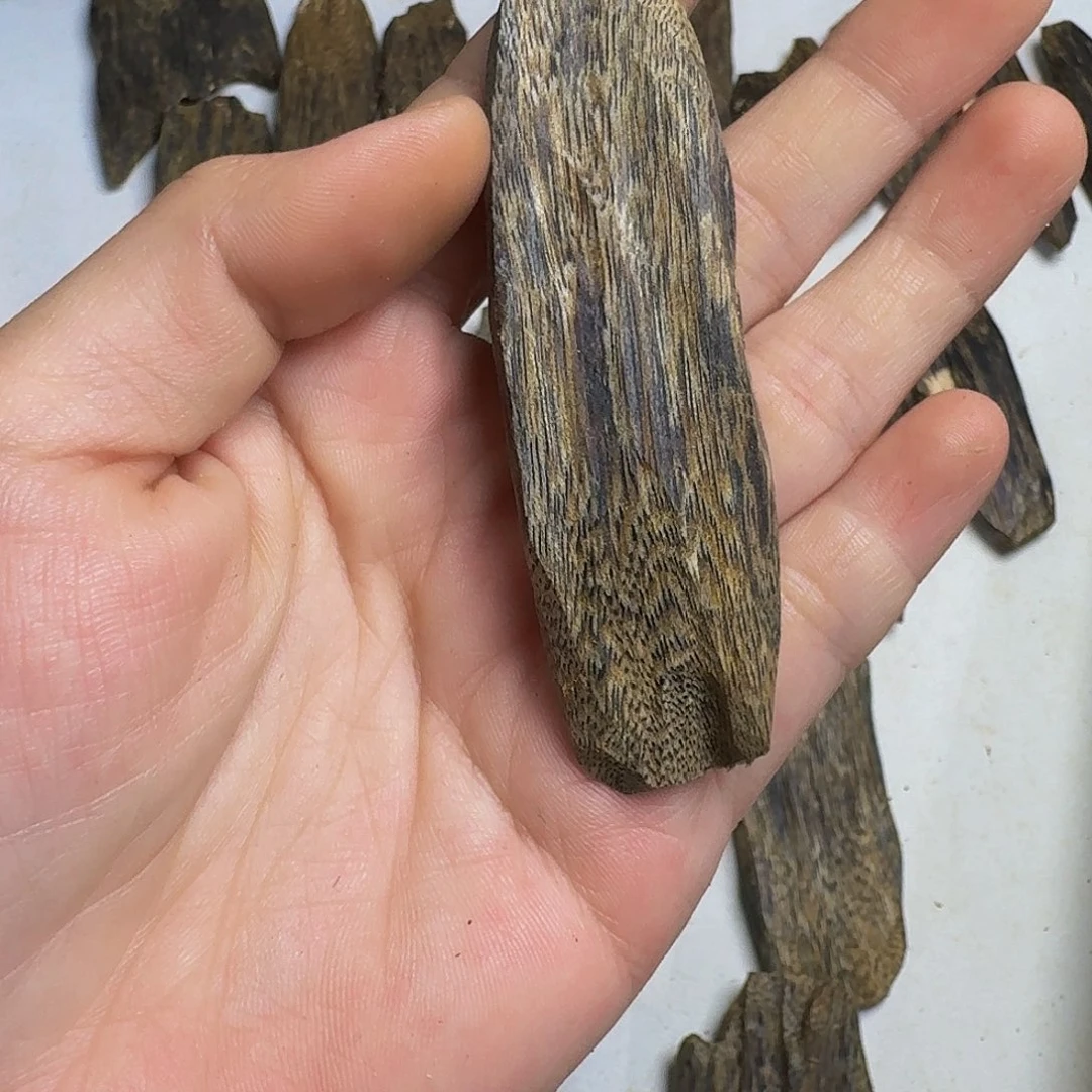 沉香碎屑沉香钢****室金沙叶11克