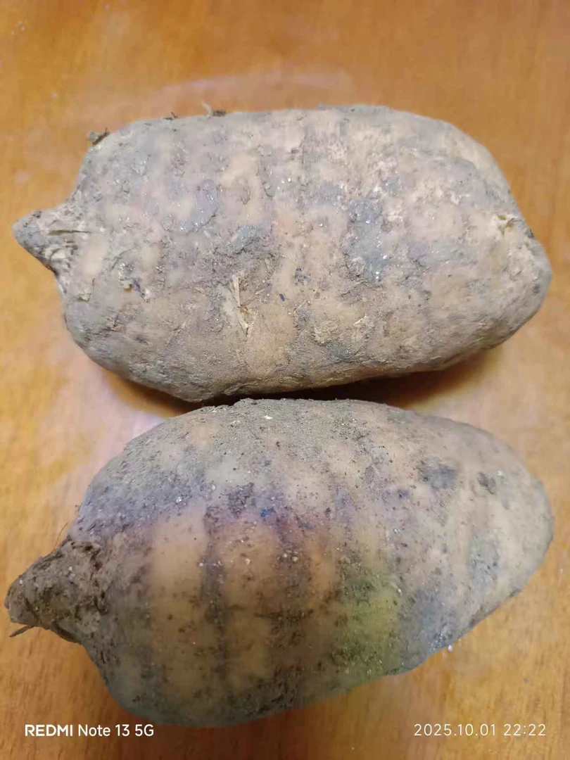 冬吃萝卜夏吃姜，不如来碗天麻汤