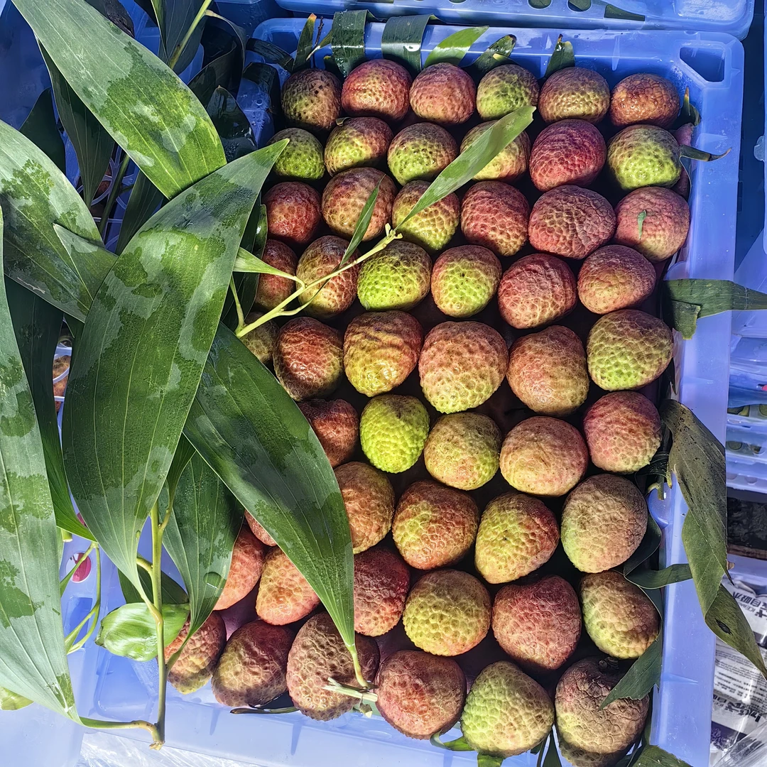 海南桂花香荔枝，香甜多汁，每框净重约3.1斤新鲜海南省