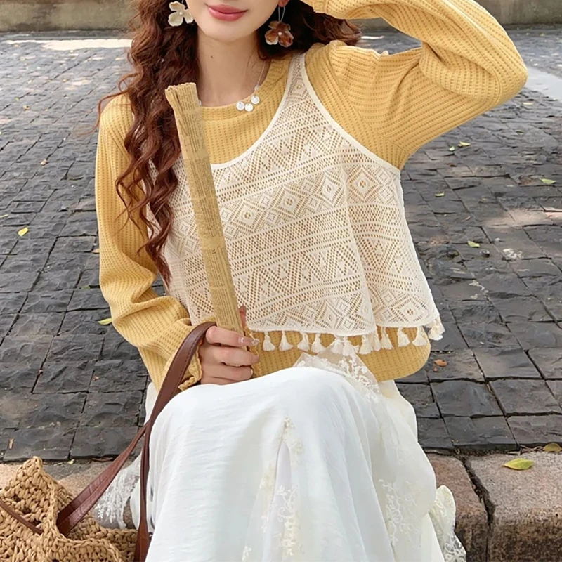 【麦田雏夜】韩版时尚套装女春秋新款长袖针织衫毛衣镂空马甲两件套