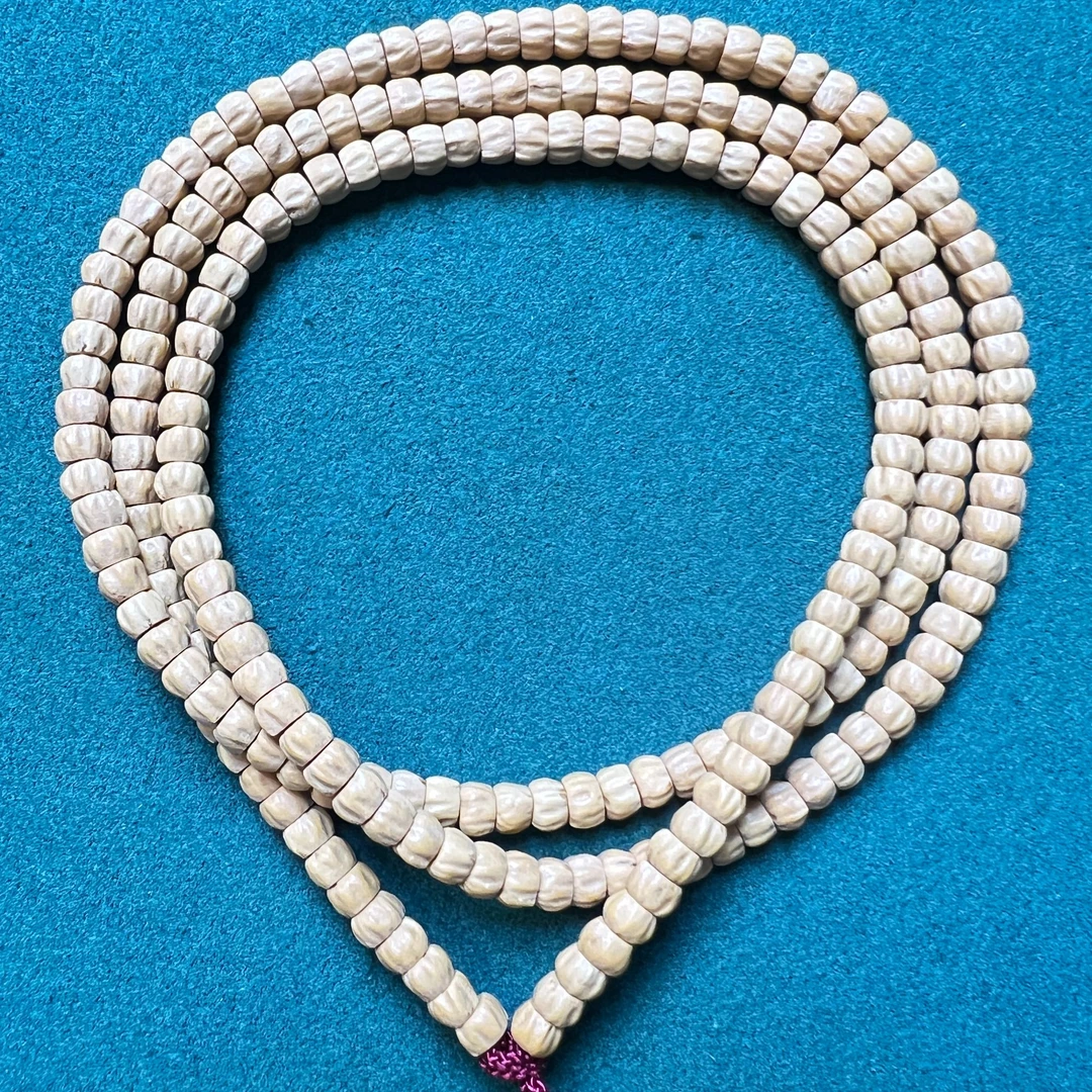 西藏热振直切百香籽精工精品级