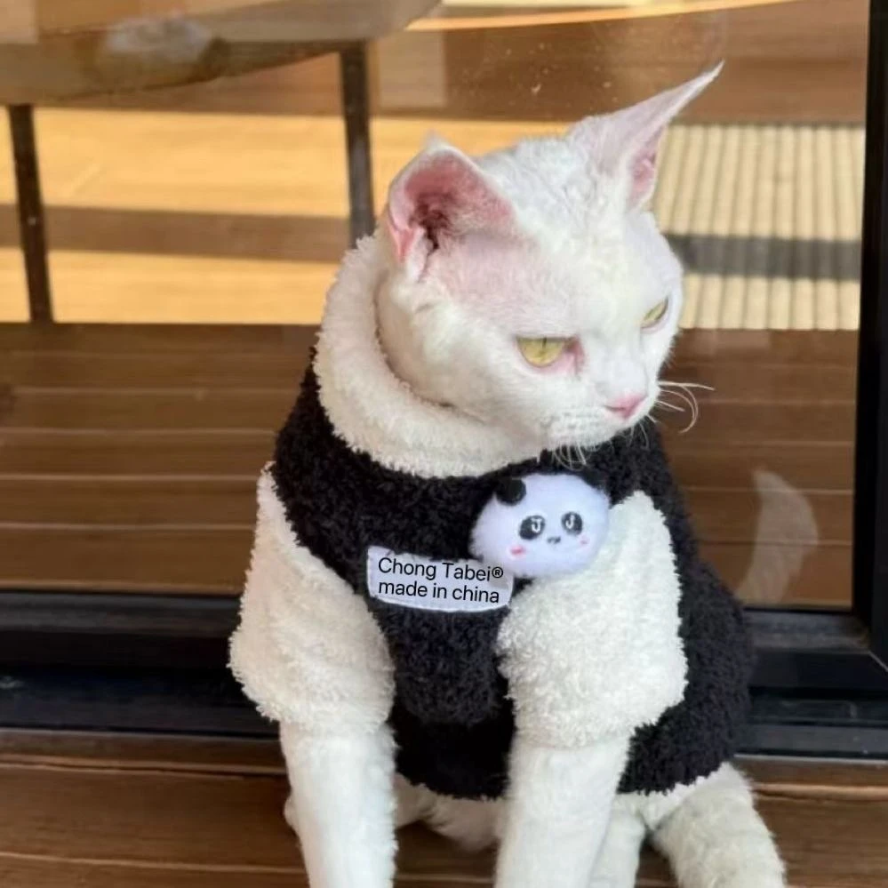 2025秋冬新款猫咪衣服保暖可爱宠物衣服小猫可爱加厚背心