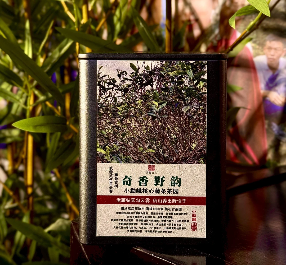 【藤条之王】 2025年小勐峨 头春古树 生茶 散茶