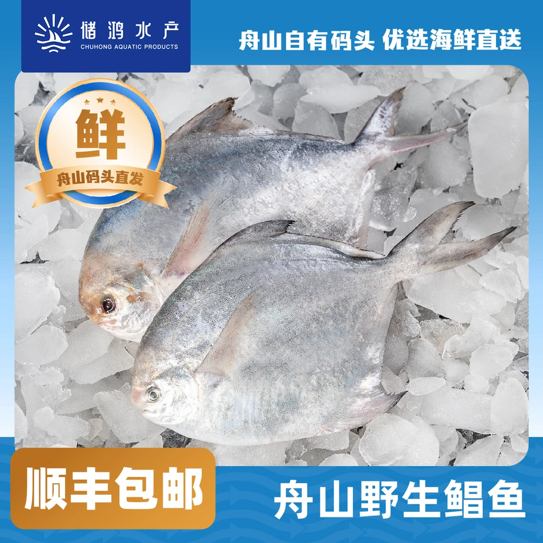 【储鸿】舟山野生鲳鱼 银鲳 5条/斤 顺丰包邮