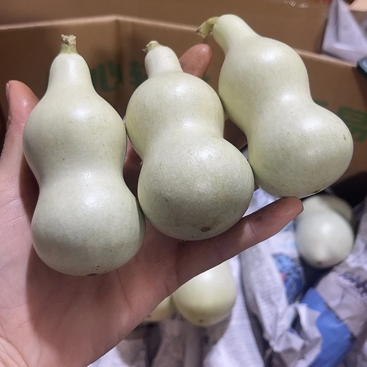 非洲紫檀（红花梨）于*任