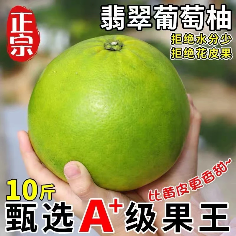 【顺丰-翡翠青柚】当季生态恐龙蛋绿宝石爆汁翡翠青柚产地直发