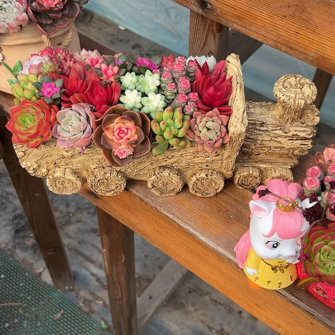 火车木桩多肉组合花园