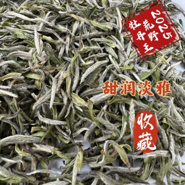2025年荒野牡丹王福鼎白茶毫香花香米汤感高山茶清香兰花香散茶