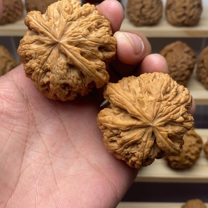 把件核桃@**生48大粗筋