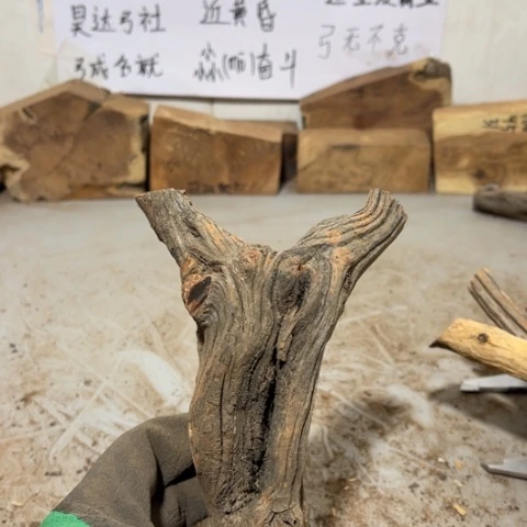 大果紫檀（缅甸花梨）{****