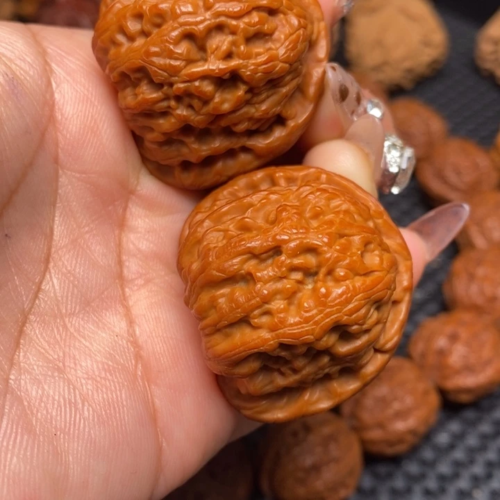 秦岭野生0000000071