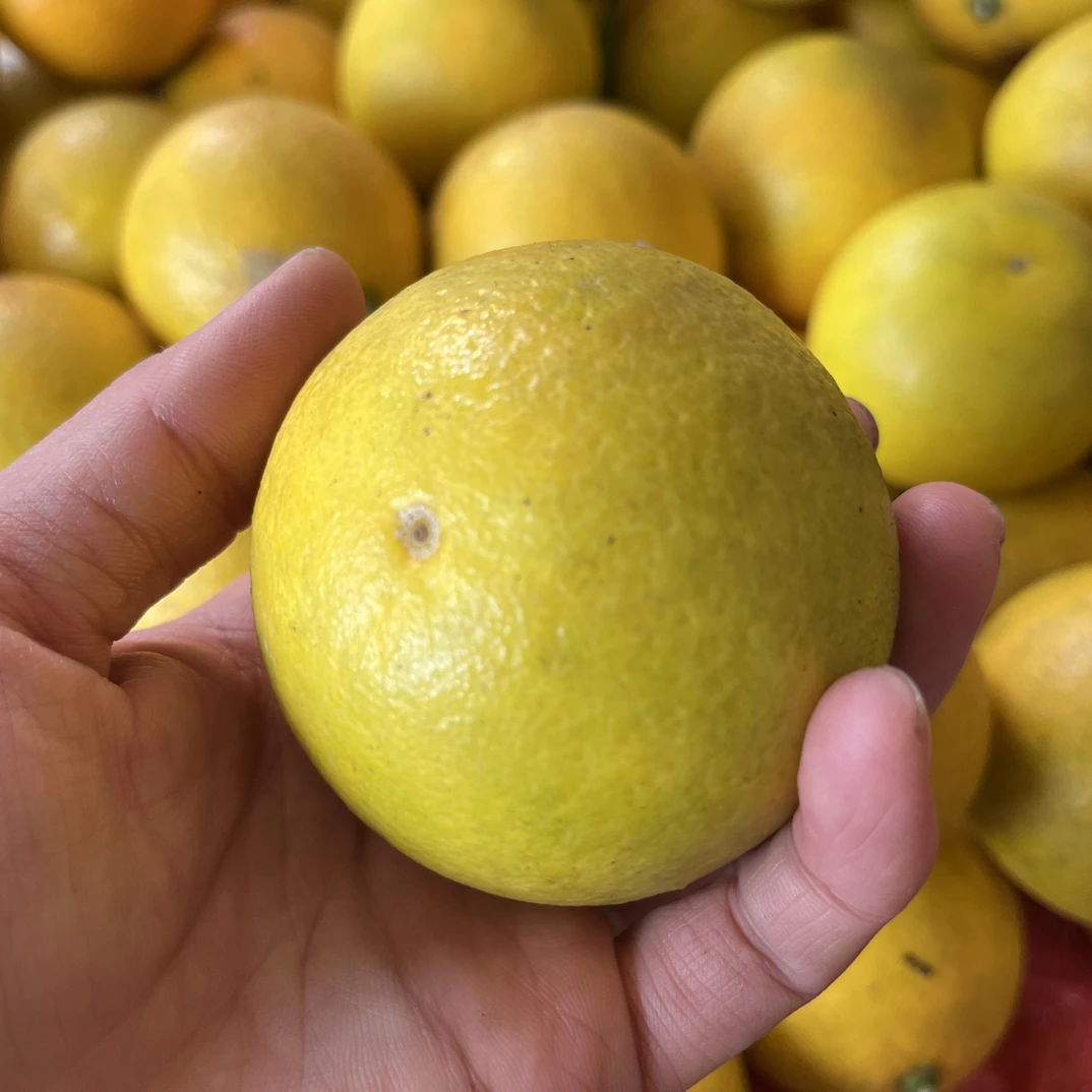 常宁本地桔子冰糖橙甜橙小橙子好甜味道好正