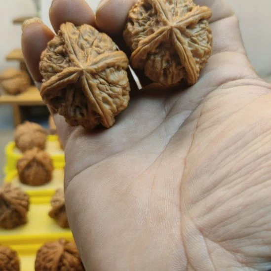 哈***7木质类玉玺四棱核桃，