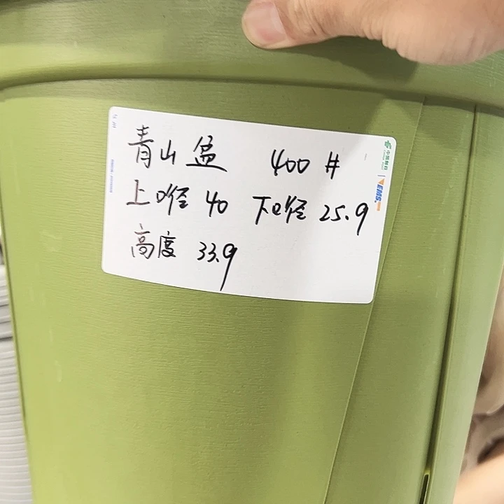 正品青山盆口40高35混色无托5只
