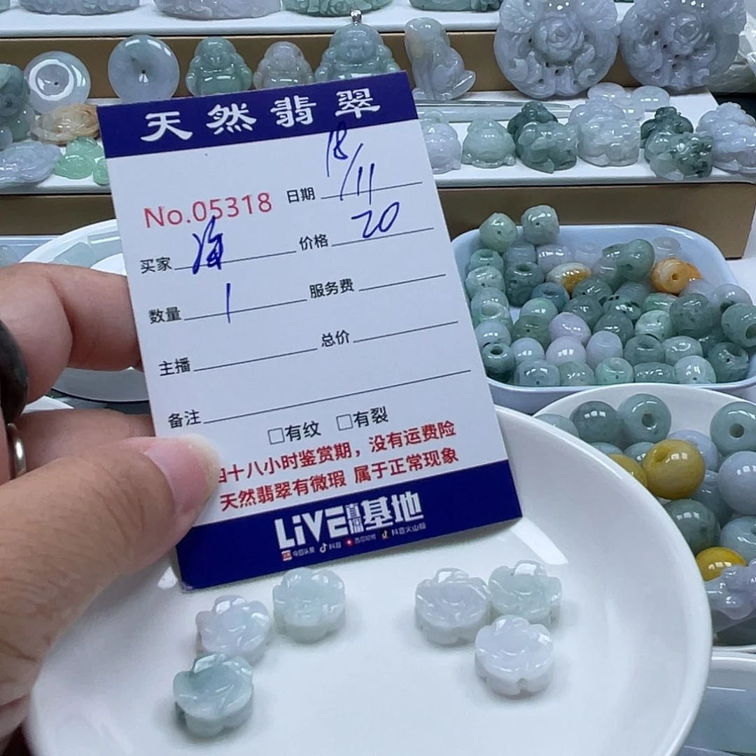 海***沫翡翠未镶嵌颈饰5689