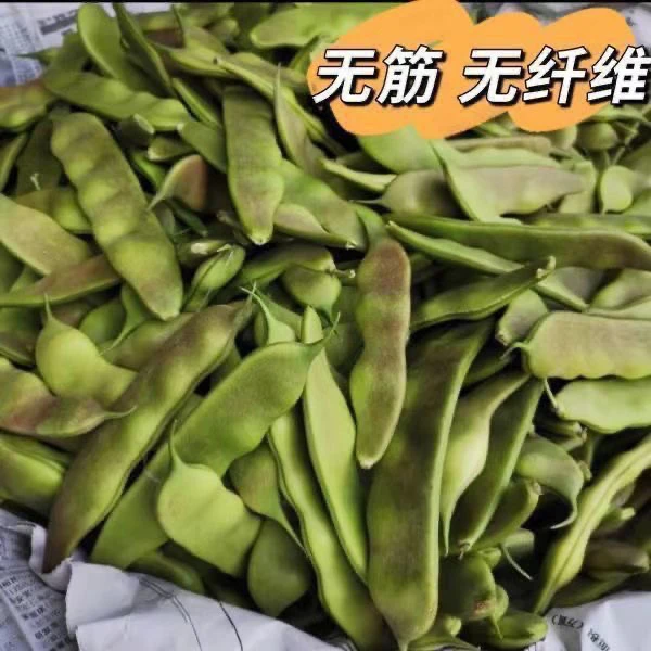 东北油豆角紫花油豆角开锅烂农家蔬菜